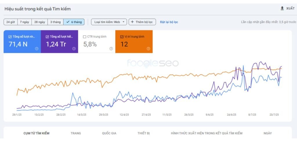 Traffic sau 6 tháng - Google Search Console Report