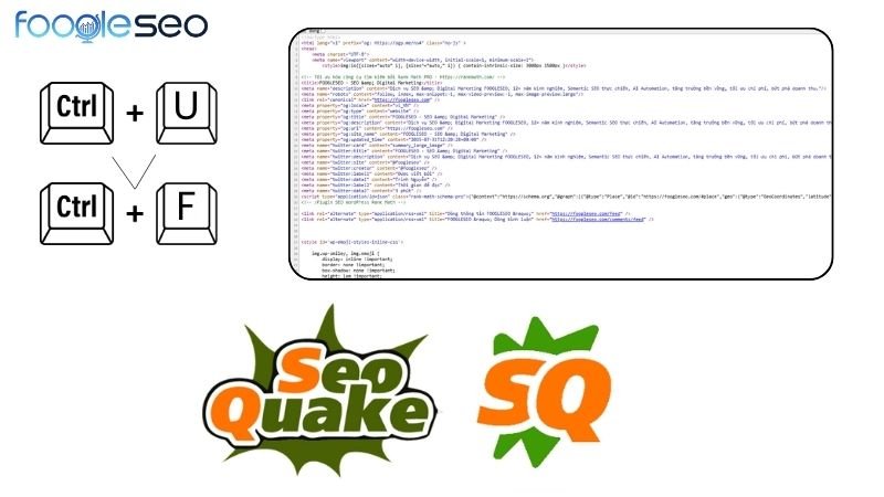 Cách kiểm tra meta keyword trên bất kỳ trang nào