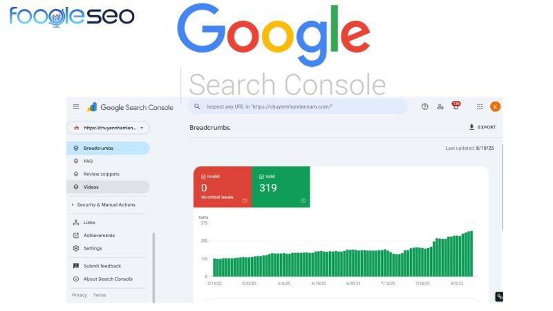 Google Search Console (GSC)