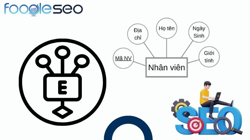 Entities & Relationships (Thực thể & Mối quan hệ)