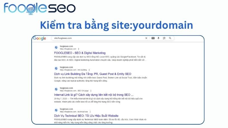 Sử dụng toán tử "site:" để kiểm tra