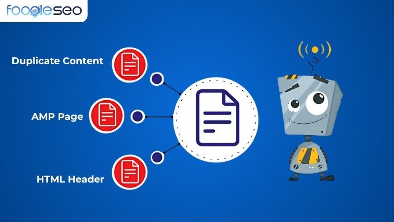 Vai trò của canonical trong seo