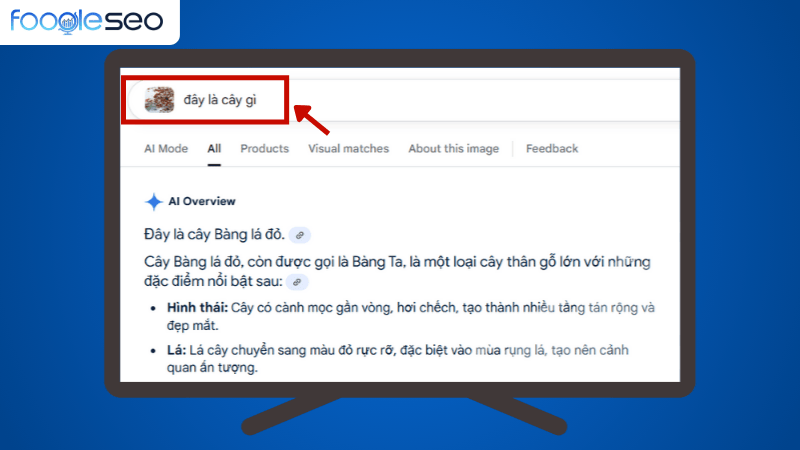 Truy vấn bằng hình ảnh, giọng nói, video