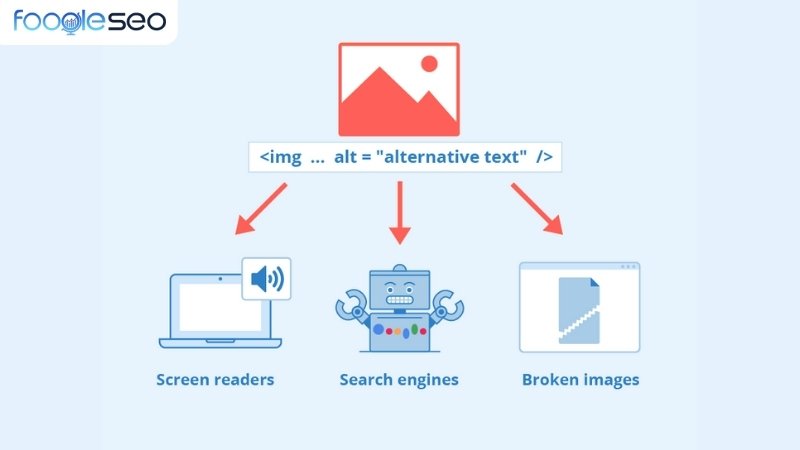 Vai trò của Alt text trong screen readers, search engines với broken images