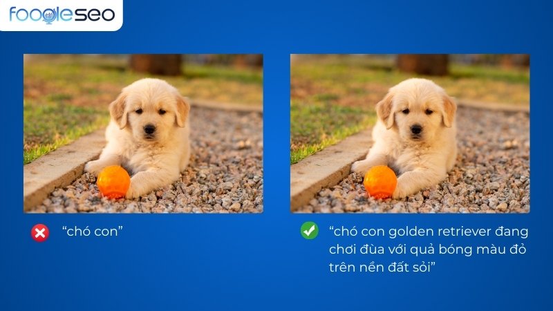 Ví dụ các đặt tên Alt text mô tả ngữ cảnh