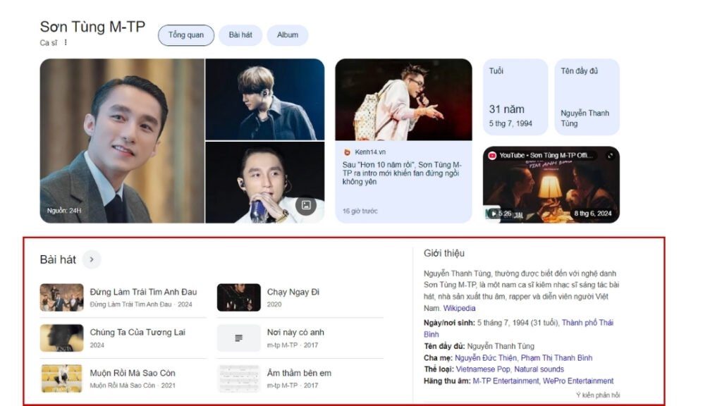ví dụ entity Sơn Tùng MTP