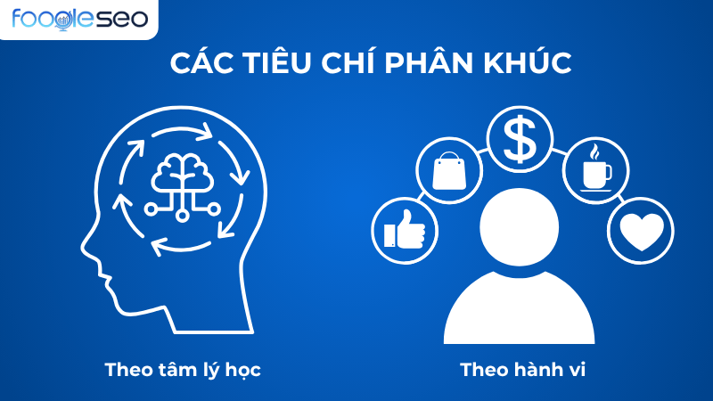 Các tiêu chí phân khúc riêng