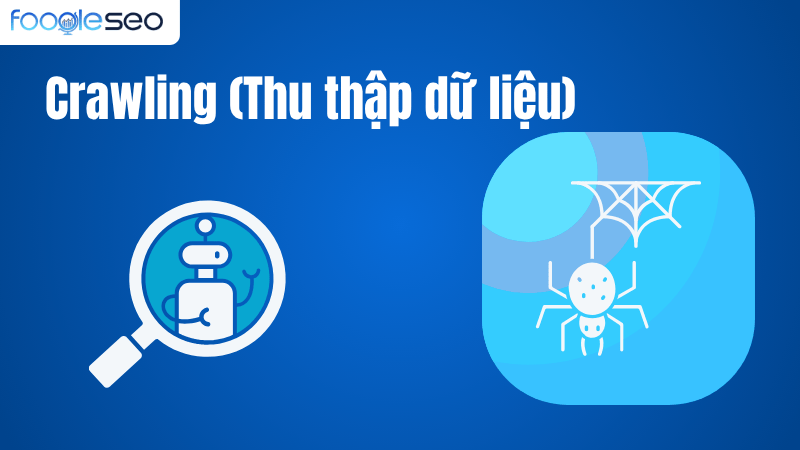 Crawling (Thu thập dữ liệu)