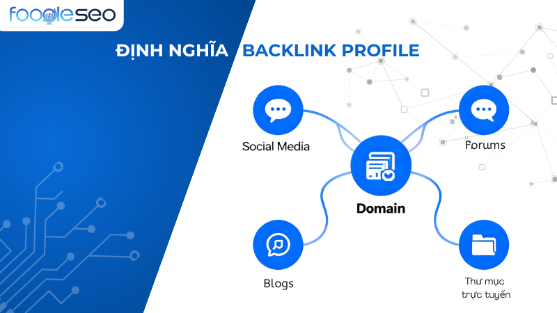 Định nghĩa backlink profile