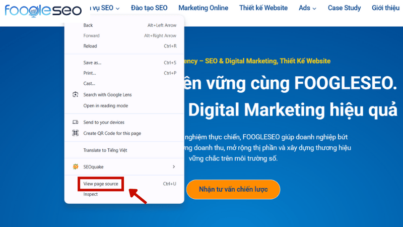 Kiểm tra backlink nofollow bằng cách kiểm tra mã nguồn trang