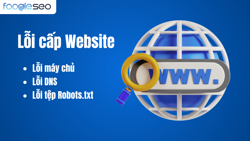Lỗi cấp Website (Site-level Errors)