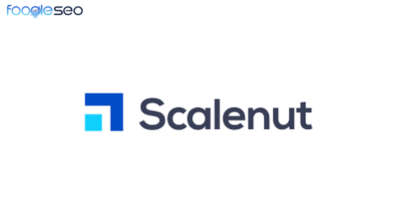 Công cụ Scalenut
